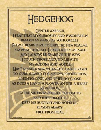 (image for) Hedgehog Prayer
