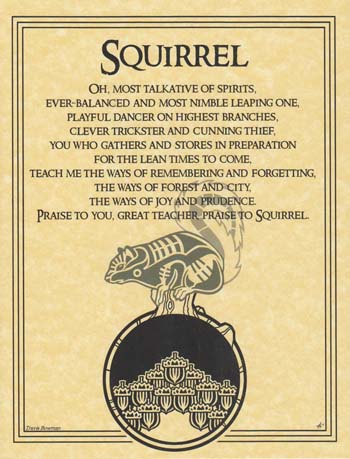 (image for) Squirrel Prayer
