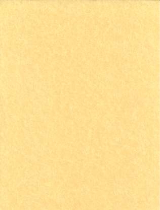 (image for) 500pk 24# 8 1/2"x11" parchment