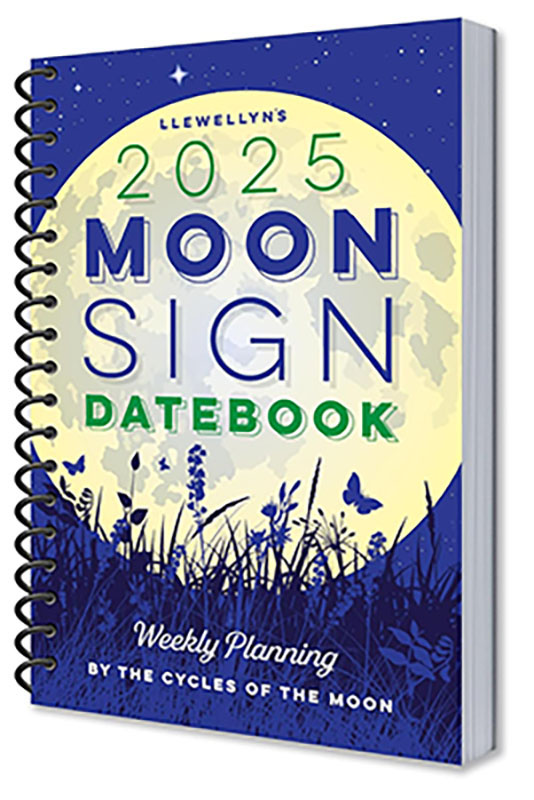 (image for) 2025 Moon Sign Datebook by Llewellyn